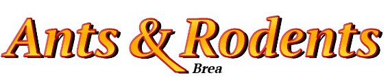Brea Ant Exterminator & Rodent Control Company Logo